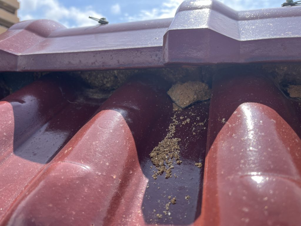 棟瓦から浸水して瓦を固定していた土が流れ出ている写真