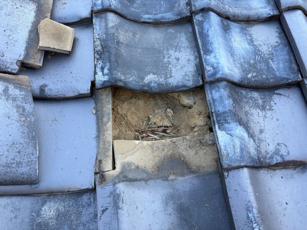 松山市の瓦割れ工事の様子