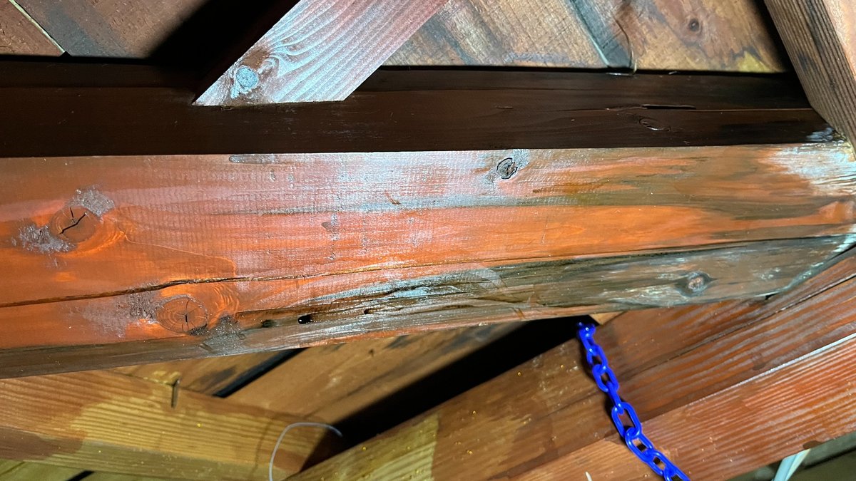 天井裏で雨漏りしている写真