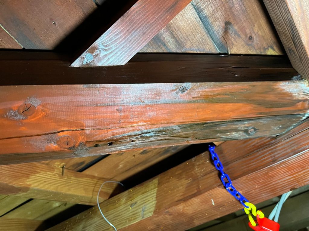 屋根裏が雨漏りで濡れている写真