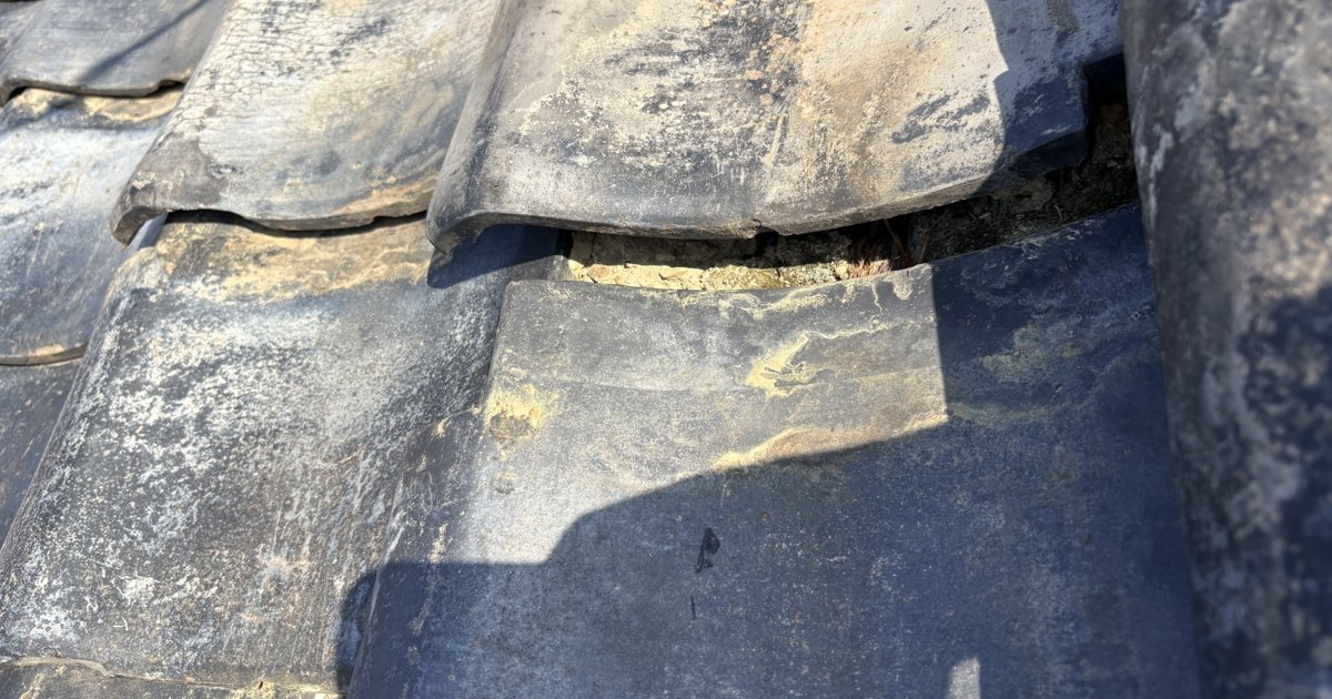 松山市で瓦がズレている様子のアイキャッチ画像